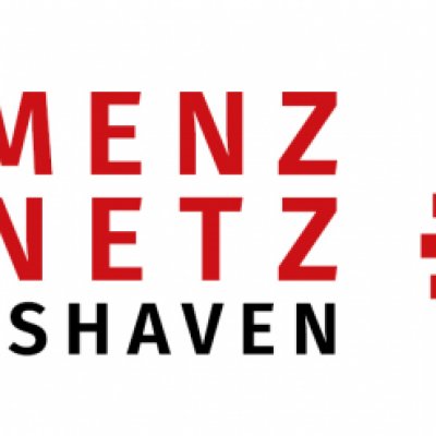 Logo DemenzNetz